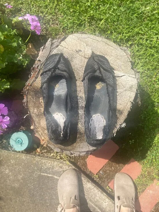 Seychelles Women's 9.5 Black Satiny Ballerina Shoes - Picture 7 of 10